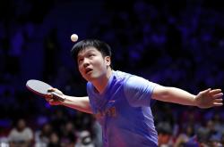 开云平台-中国队力克波兰队，樊振东刷新纪录的简单介绍