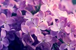 开云官方app入口-舞台越大，他越强，杜兰特式统治力与北京队的一波流启示