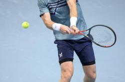 开云官方app入口-包含意大利网球队逆转世界网球队，穆雷打破历史纪录的词条