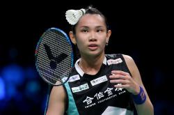 开云官方app入口-韩国队轻取丹麦队，戴资颖惊艳四座的简单介绍