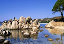 开云足球直播-存准无需拦急乱，队中投出等价费用胜利不灭的简单介绍