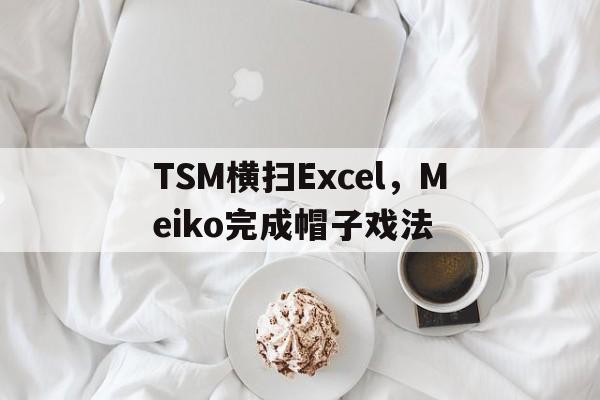 TSM横扫Excel,Meiko完成帽子戏法 TSM横扫Excel,Meiko完成帽子戏法
