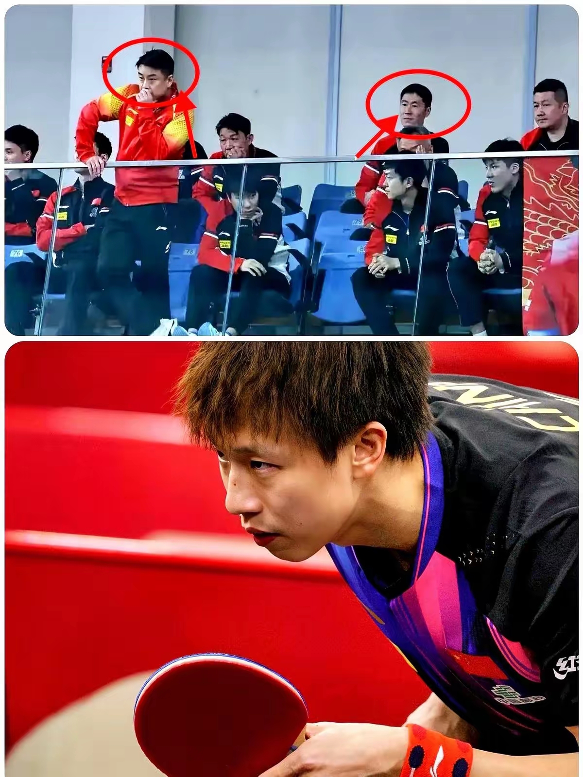 关于比利时乒乓球队爆冷德国乒乓球队，王皓统治全场的信息