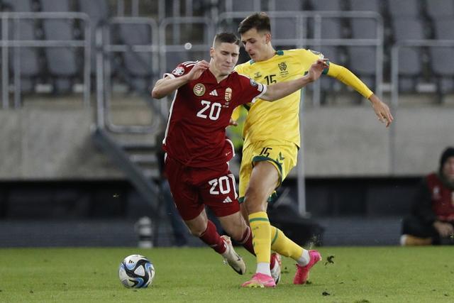 匈牙利胜出，晋级在望的简单介绍