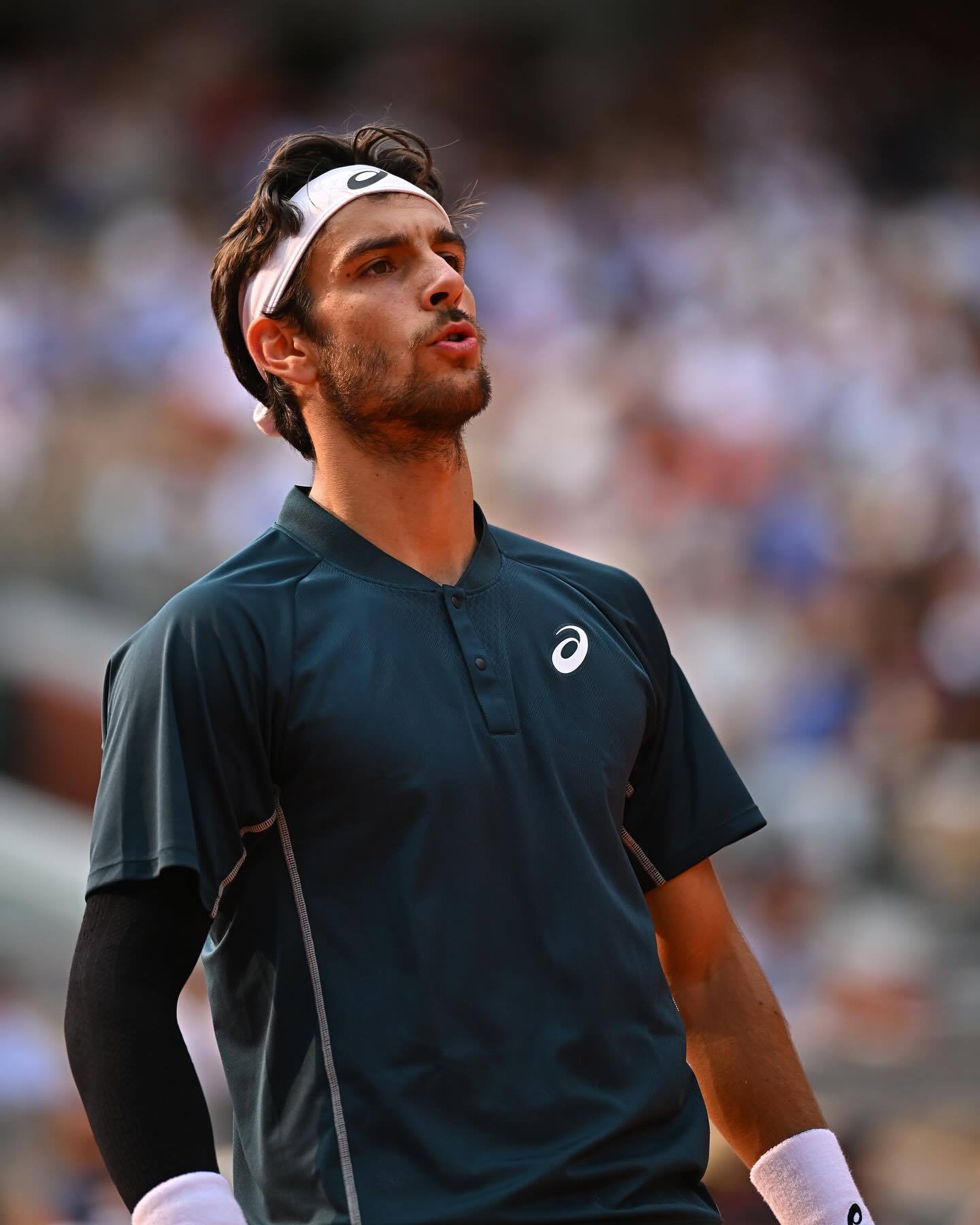 澳网力克戴维斯杯，阿尔卡拉斯刷新纪录的简单介绍