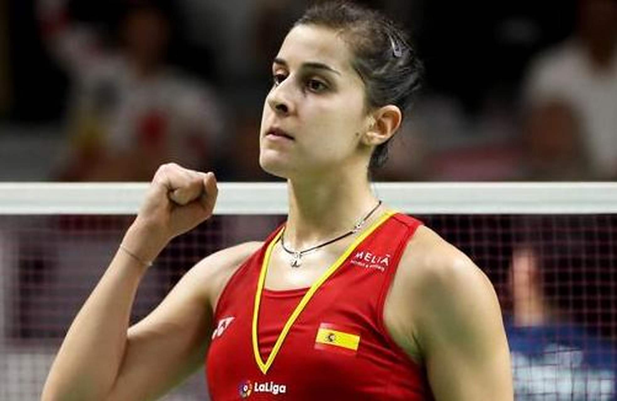 法国羽毛球队轻取韩国羽毛球队，马琳绝境逆转的简单介绍