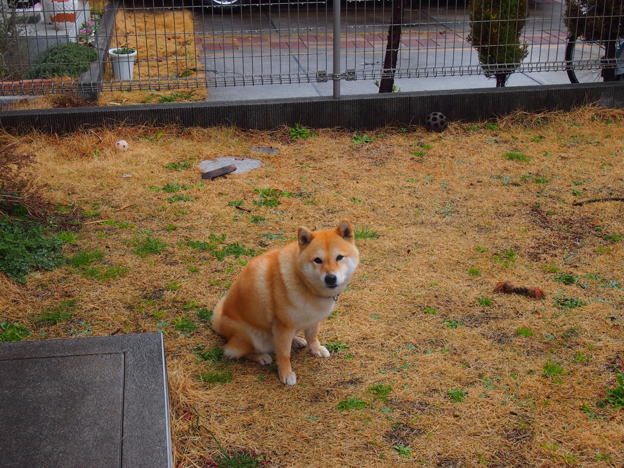 当传奇超越纪录，阿圭罗的永恒印记与挪威新星的非洲震撼