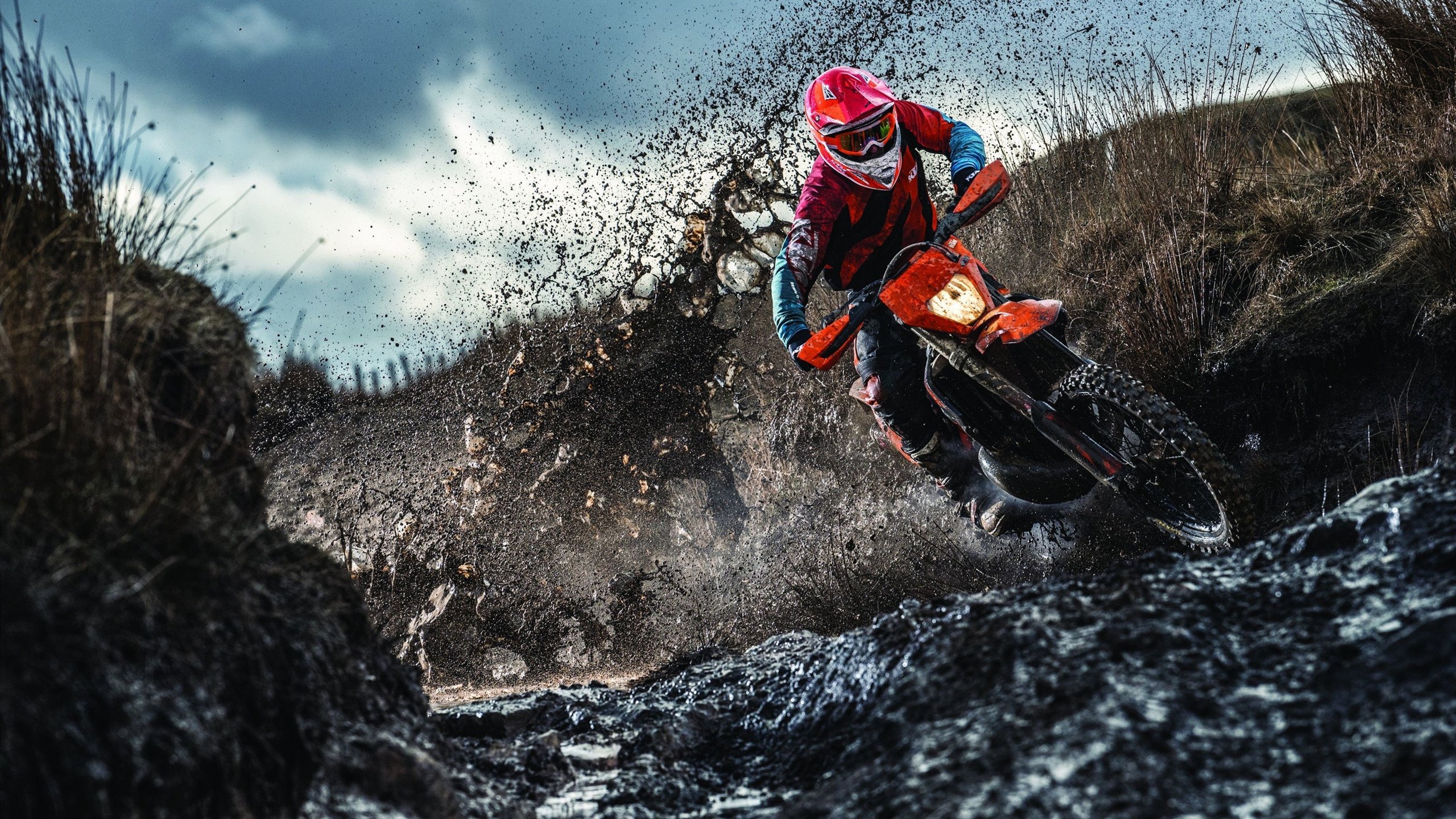 西决生死战焦点战，猛龙拿下尼克斯