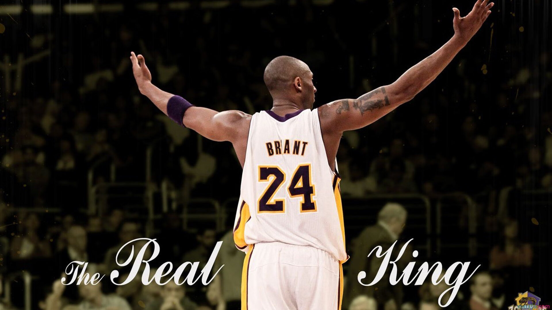 当完全无解成为常态,切特现象与篮球认知的边界革命