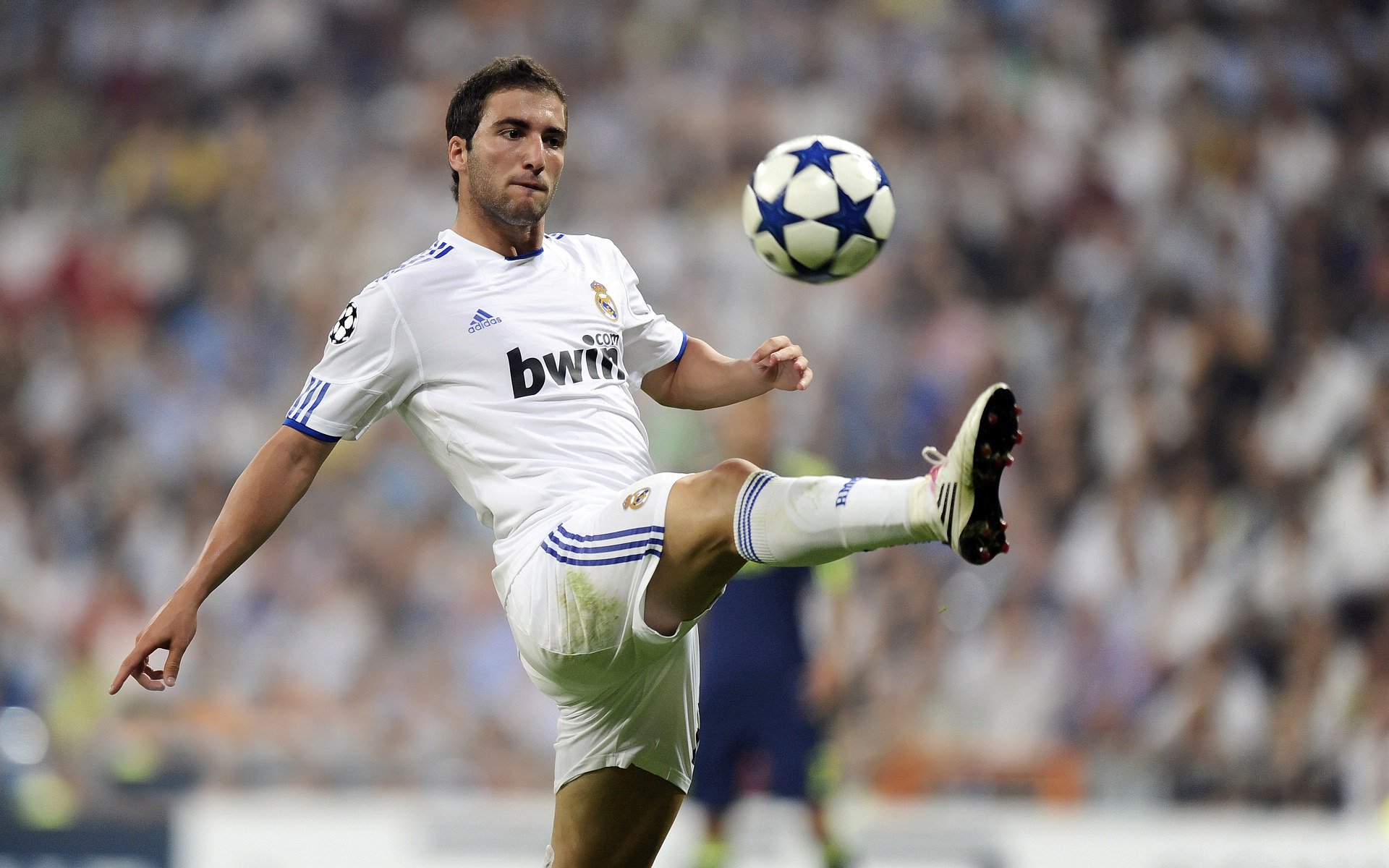 温网轻取法网，蒂姆扛起全队的背后，是网球格局的悄然变迁